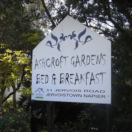 Ashcroft Gardens Bed & Breakfast Napier Exterior foto